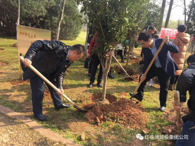 QQ浏览器截屏未命名3.png QQ浏览器截屏未命名3.png