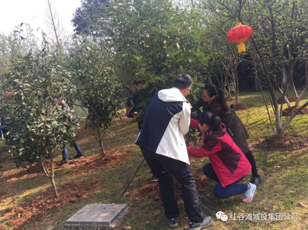 QQ浏览器截屏未命名4.png QQ浏览器截屏未命名4.png