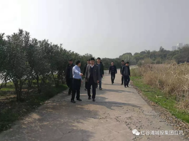 QQ浏览器截屏未命名3.png QQ浏览器截屏未命名3.png